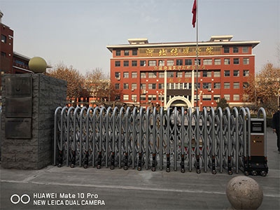 鐢?shù)鍔ㄤ几缇冮? align= 鐢?shù)鍔ㄤ几缇冮? width=